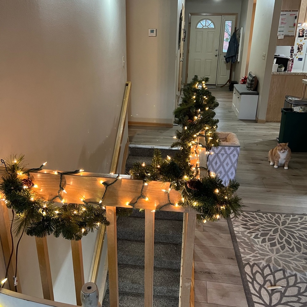 Holiday Pine Garland with Warm White Lights x 2